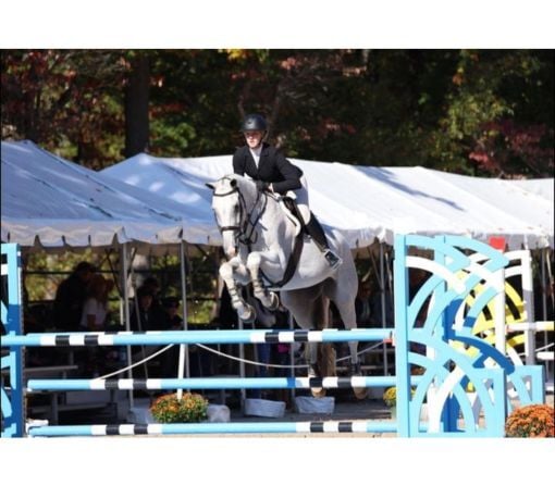 Copy of Copy of Copy of Newsletter - Weekly New Image Template (18)